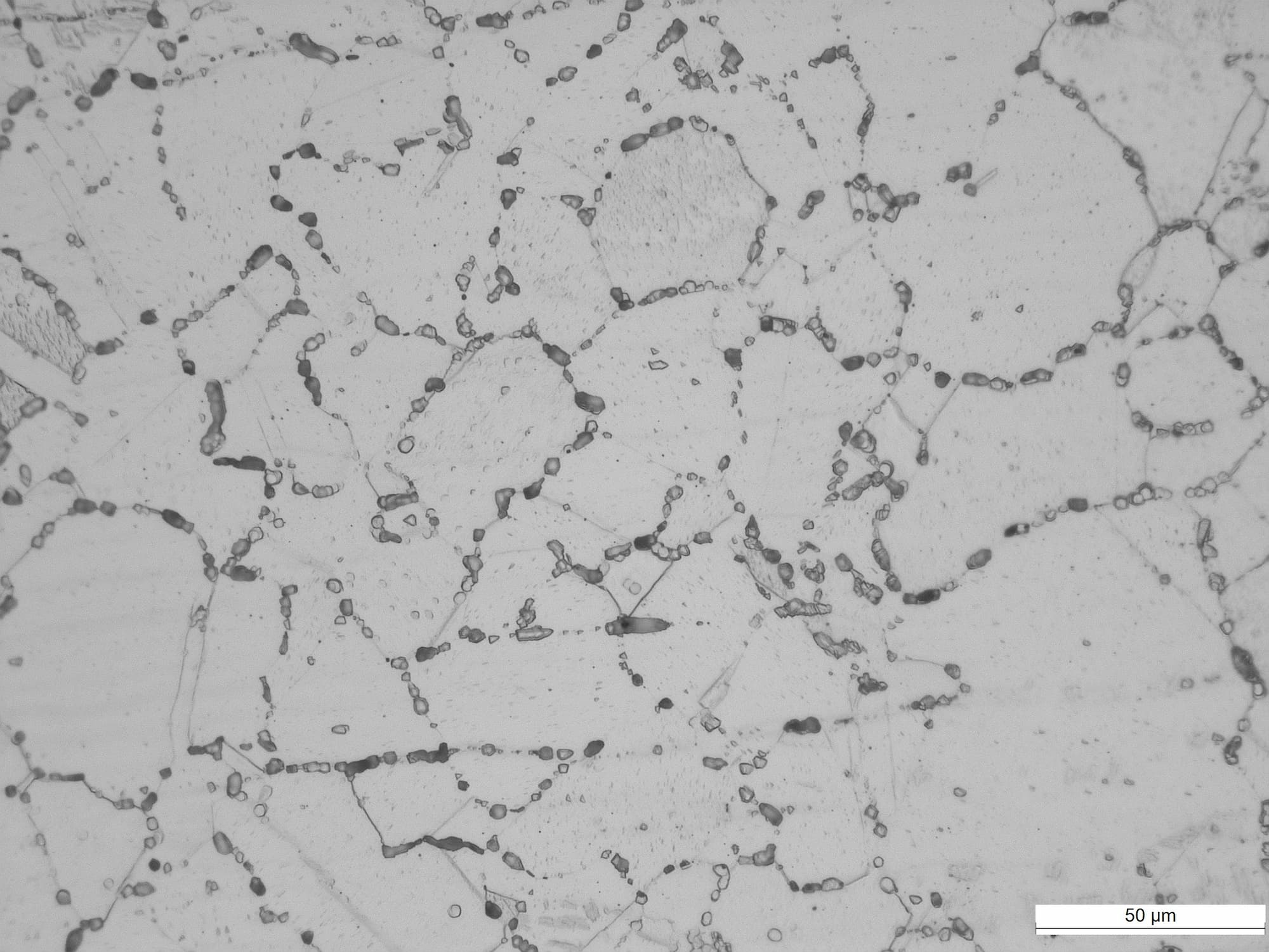 Corrosion Testing Laboratory | ASTM B117, ISO 9227 | LTI